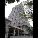 Der Gopuram des Murugan-Tempels